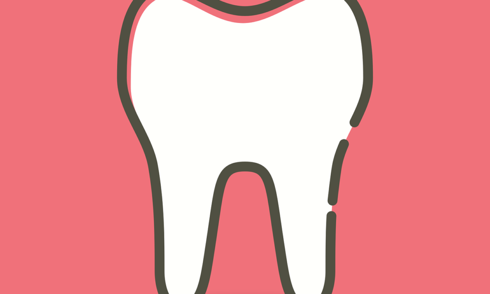 Prześliczne nienaganne zęby również godny podziwu prześliczny uśmiech to powód do zadowolenia.